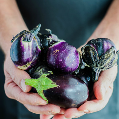 Traditional Roasted Eggplants